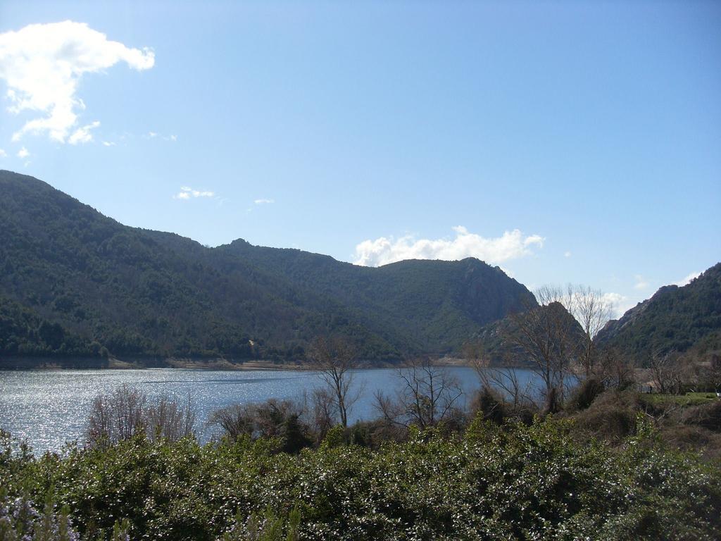 Cote Lac Tolla Стая снимка
